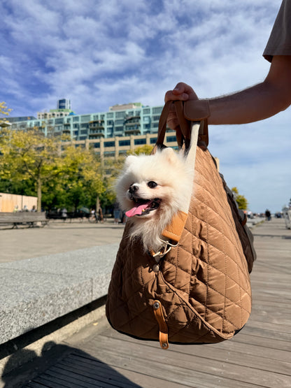 Porter | Dog Carrier and Comfortable Car Seat