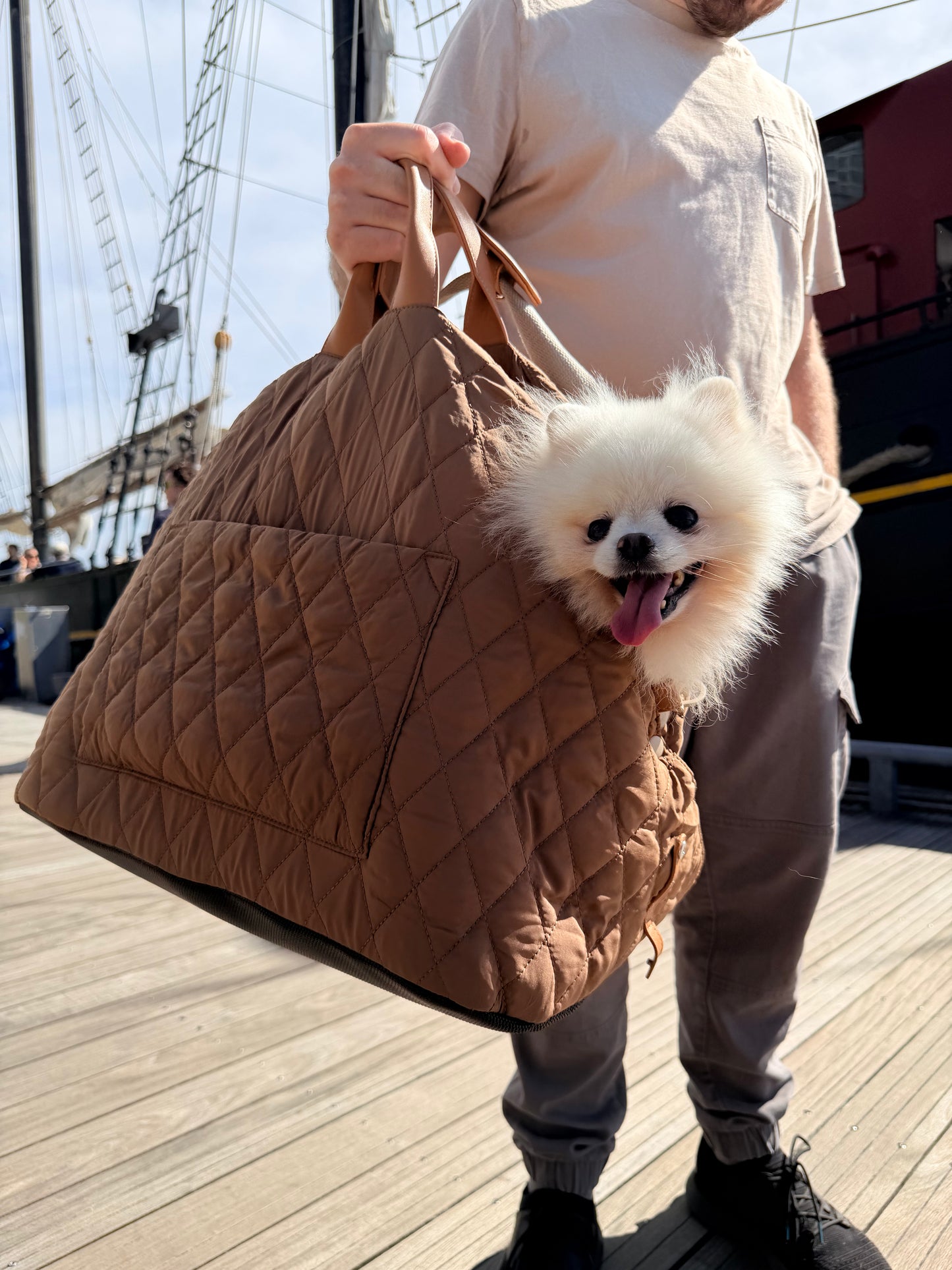 Porter | Dog Carrier and Comfortable Car Seat