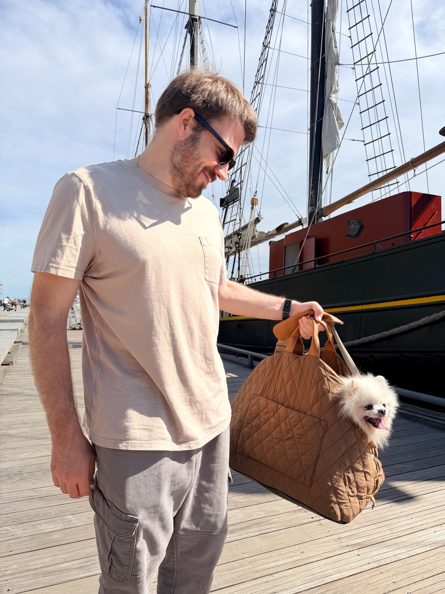 Porter | Dog Carrier and Comfortable Car Seat